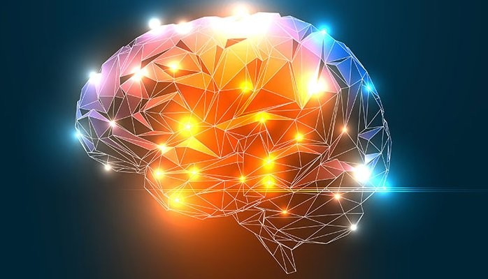 Supercharge Focus & Cognition with Acetyl-L-Carnitine PYM Supercharge Focus & Cognition with Acetyl-L-Carnitine PYM