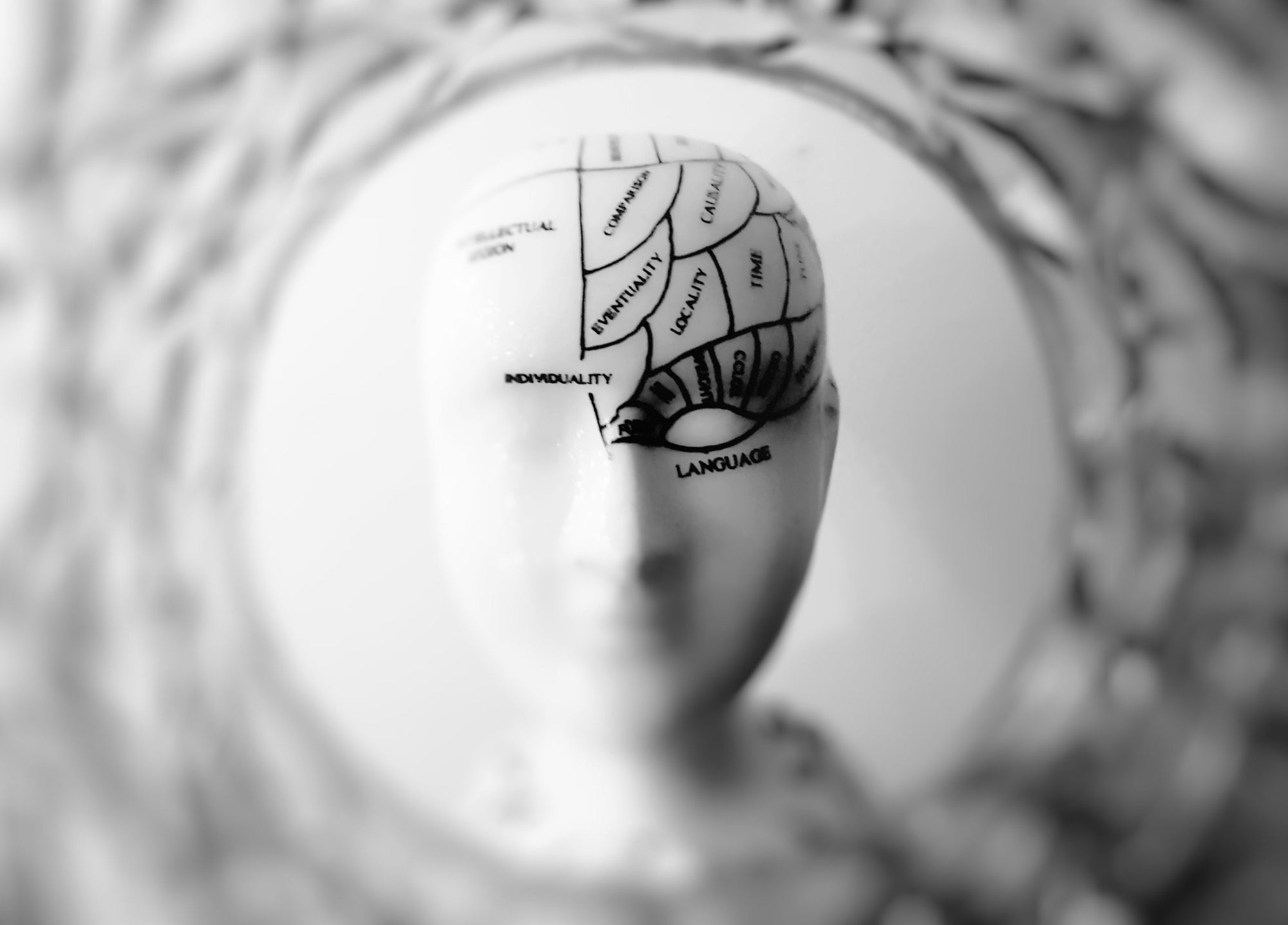 Phrenology head with labeled brain areas including INDIVIDUALITY, LANGUAGE, LOCALITY, SPIRITUALITY, CAUSALITY, TIME, and CONCENTRATION