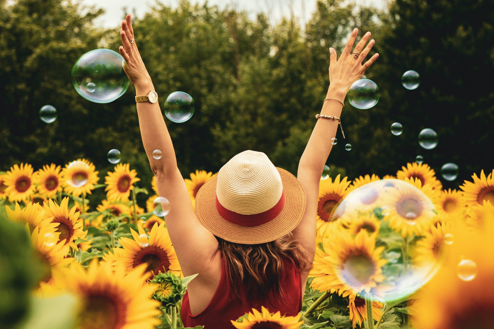 Woman wearing a straw hat and red sleeveless top raising her arms among blooming sunflowers and floating bubbles outdoors