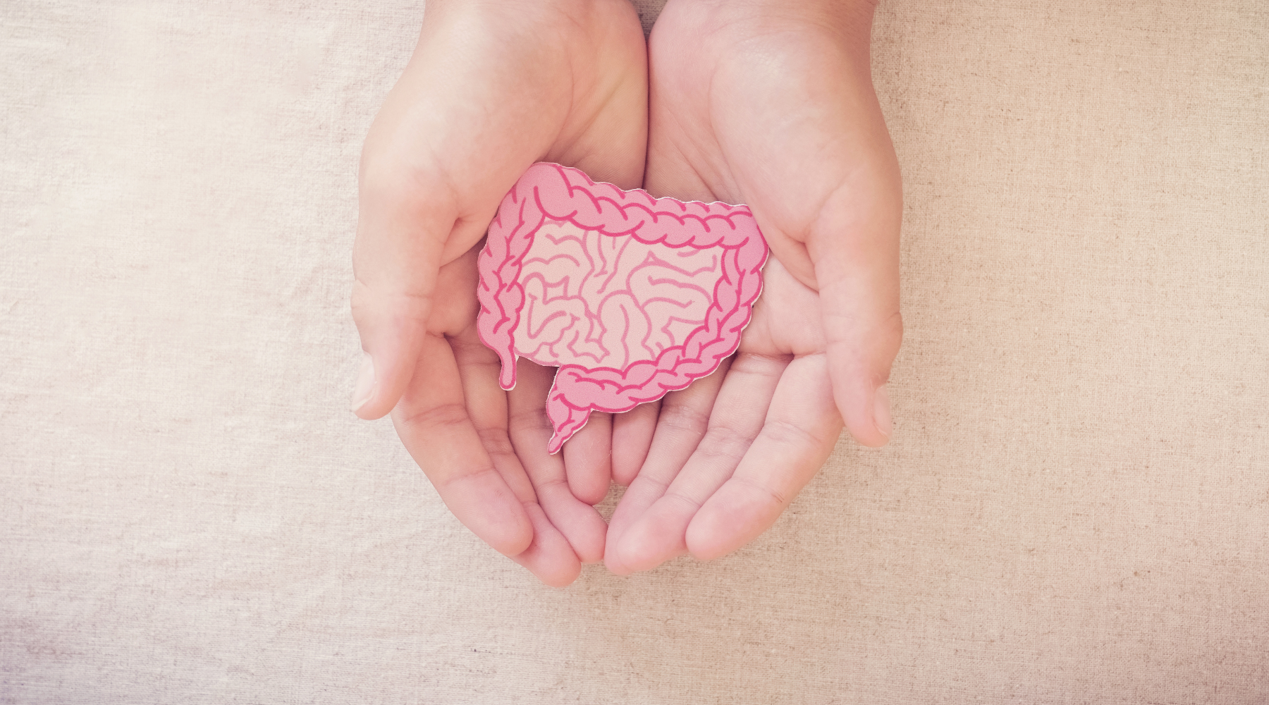 Two cupped hands holding a pink paper cutout illustration of human intestines on a beige fabric background