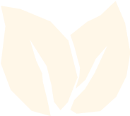 Stylized graphic of two cream-colored leaves on a white background.