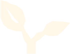 Stylized beige plant sprout with two leaves on a transparent background, representing all-natural dietary supplements.