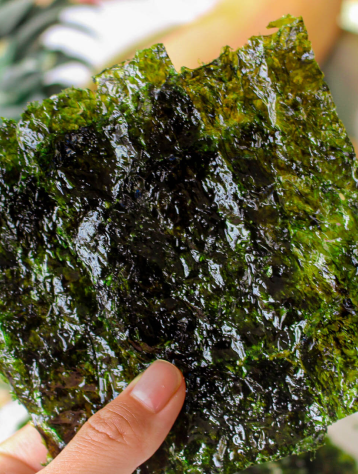 Hand holding a sheet of dried seaweed snack.