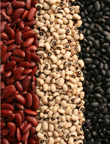 Three vertical stripes of beans: red kidney beans on the left, black-eyed peas in the center, and black beans on the right.