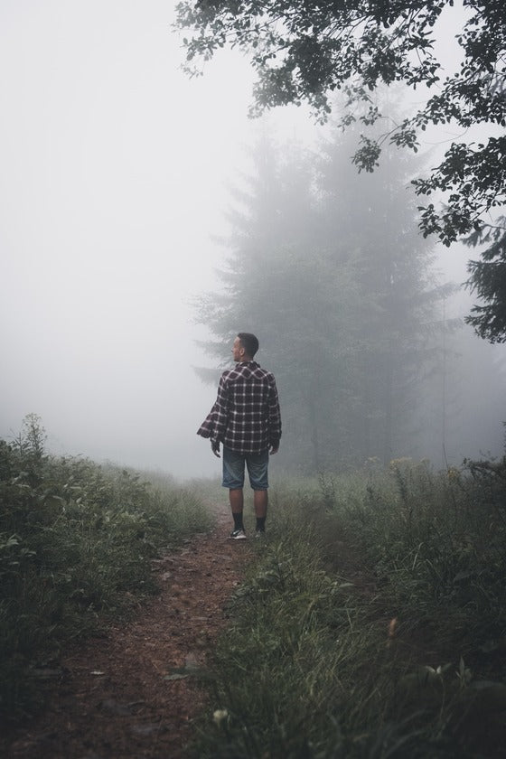 Man standing on a foggy forest path surrounded by trees and greenery