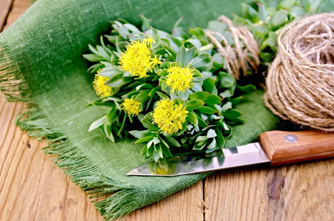 Rhodiola for anxiety and depression